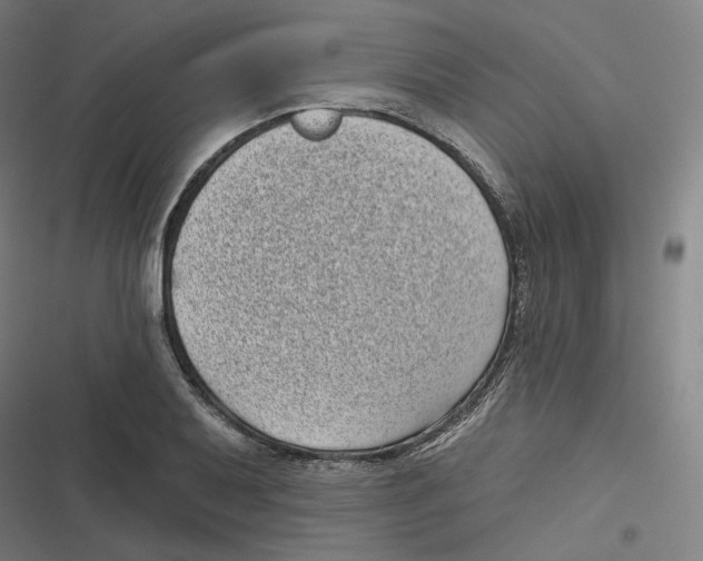 X0000116811079201001081350