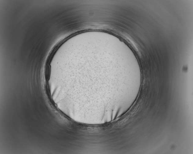 X0000116811080201001081350