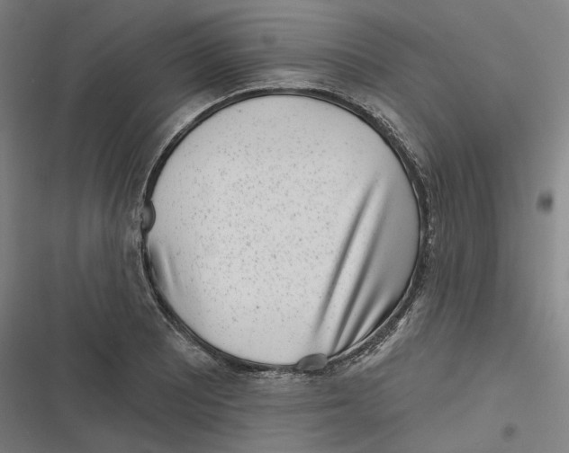 X0000116811081201001081350