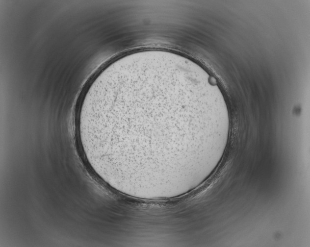 X0000116811082201001081350