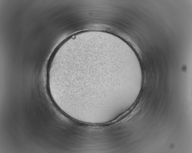 X0000116811083201001081350