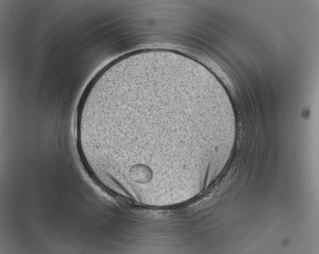 X0000116811084201001081350