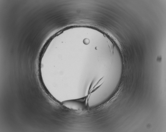 X0000116811085201001081350