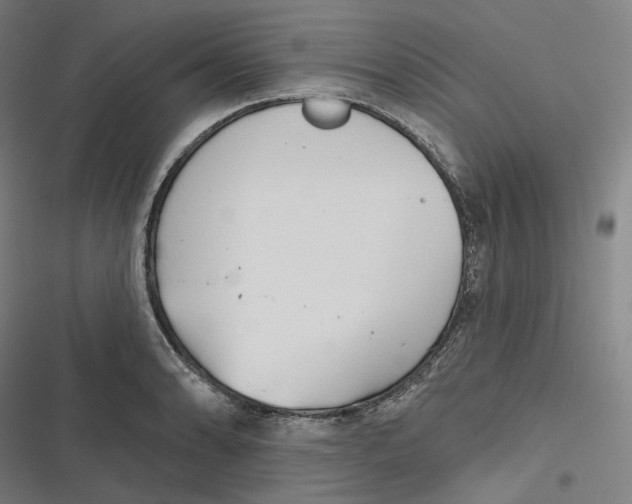 X0000116811086201001081350