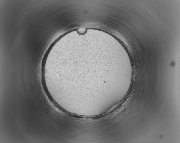 X0000116811087201001081350