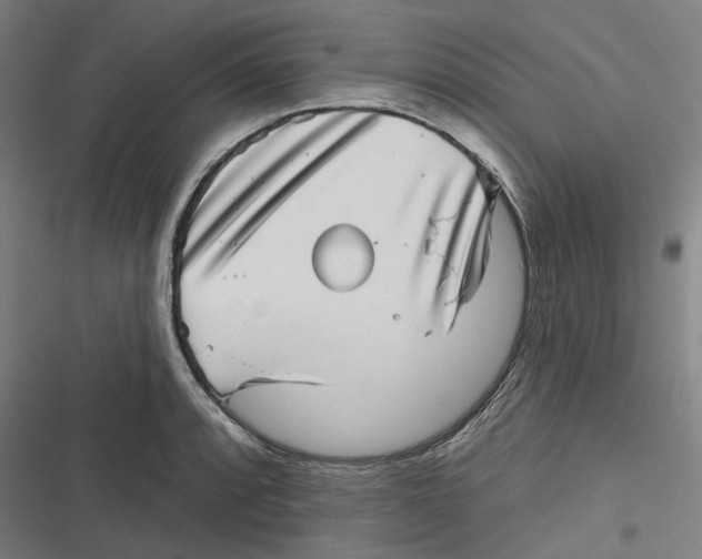 X0000116811088201001081350