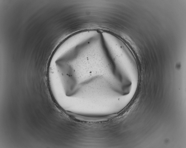 X0000116811089201001081350