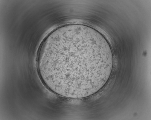 X0000116811090201001081350