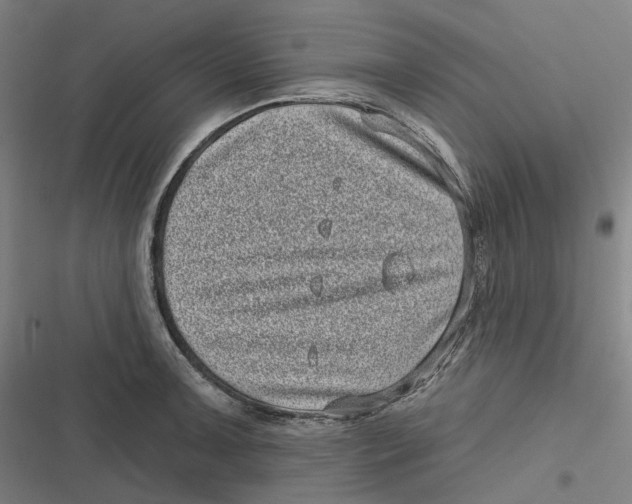 X0000116811091201001081350