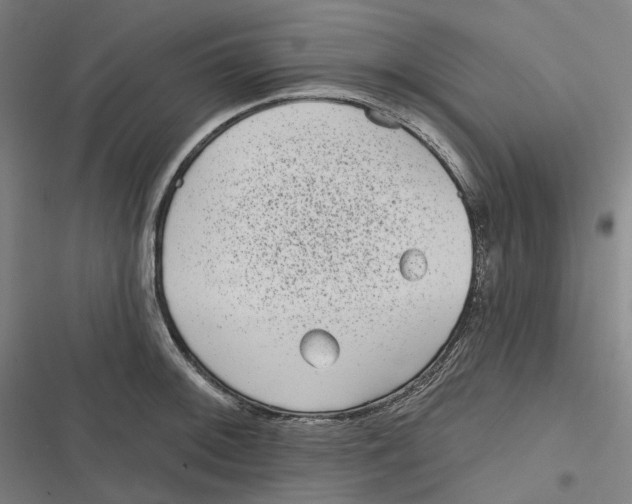 X0000116811092201001081350