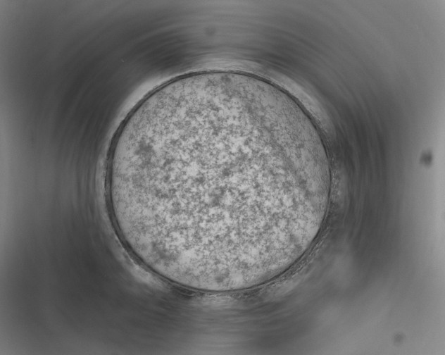 X0000116811094201001081350