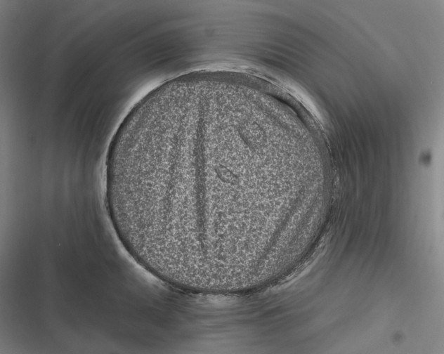 X0000116811095201001081350