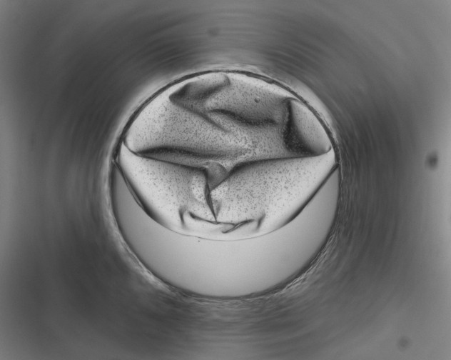 X0000116811096201001081350