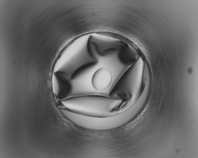 X0000116811097201001081350