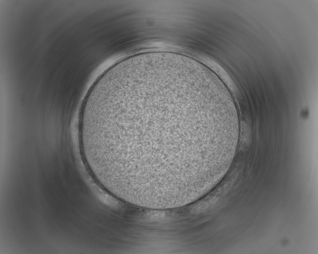 X0000116811098201001081350