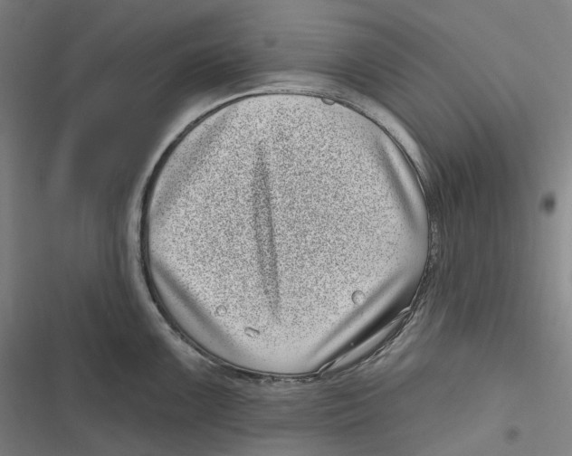 X0000116811099201001081350