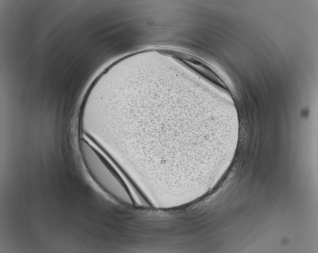 X0000116811100201001081350