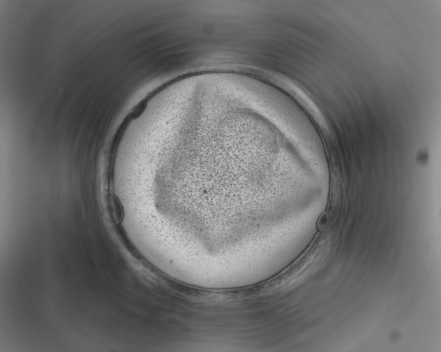 X0000116811101201001081350