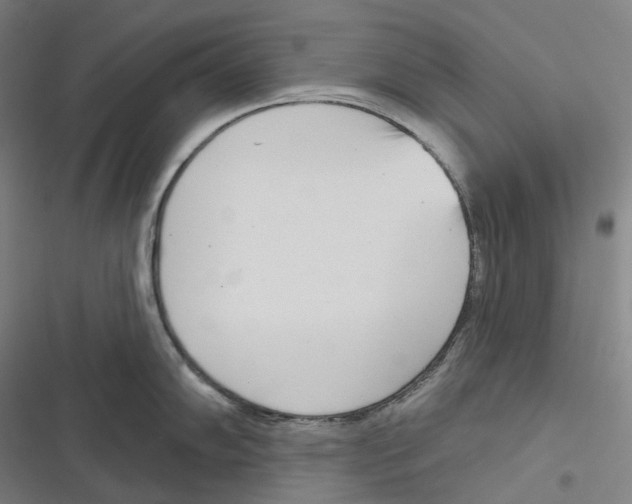 X0000116811102201001081350