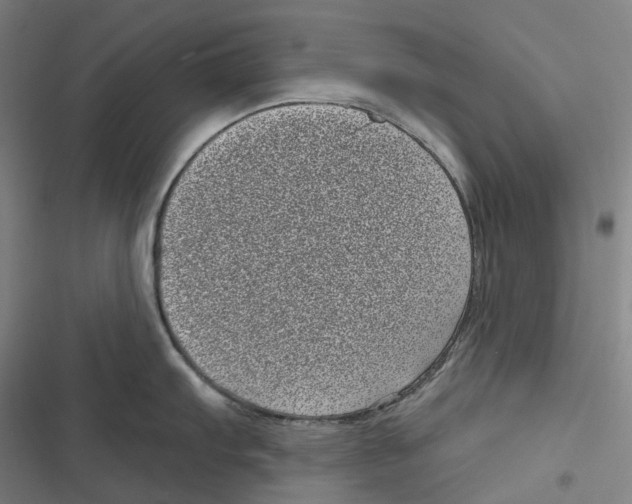 X0000116811103201001081350