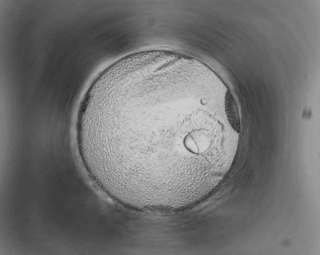 X0000116811104201001081350