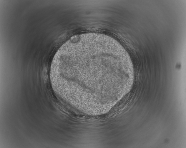 X0000116811106201001081349