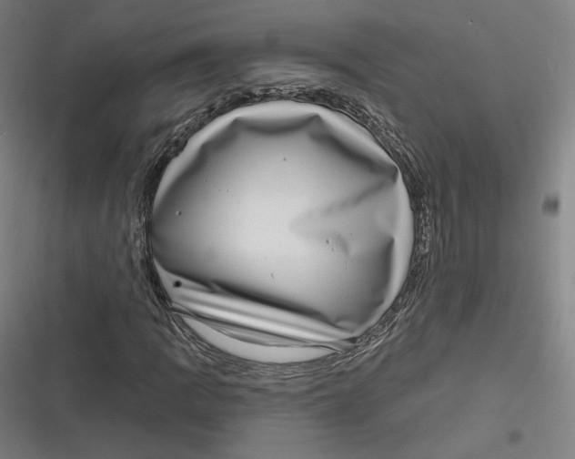 X0000116811109201001081349