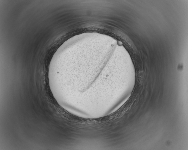 X0000116811111201001081349