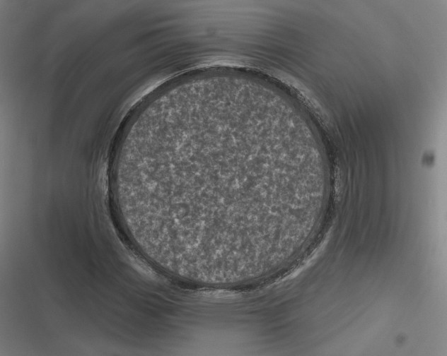 X0000116811113201001081349