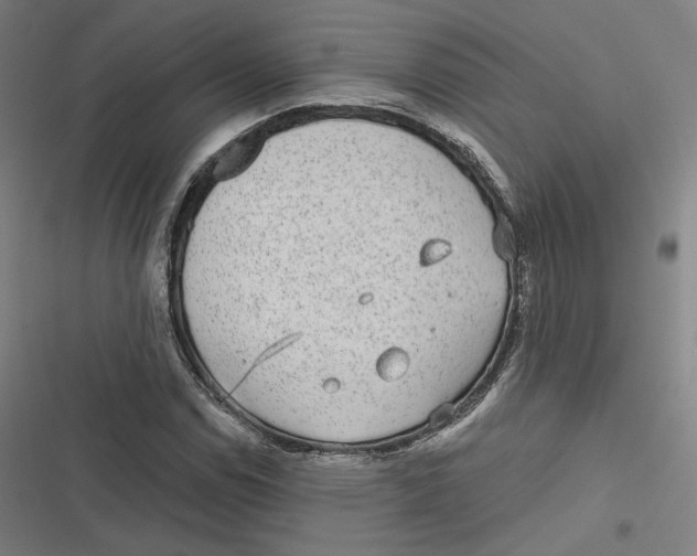 X0000116811114201001081349