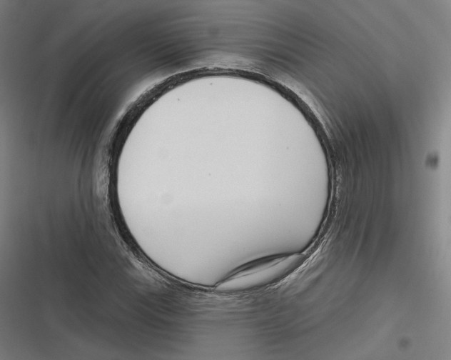 X0000116811115201001081349