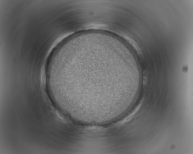 X0000116811117201001081349