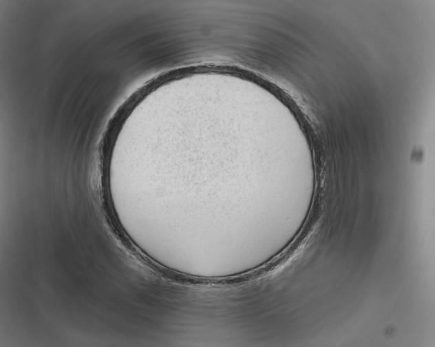 X0000116811118201001081349