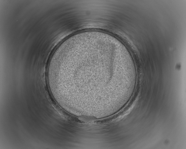 X0000116811121201001081349