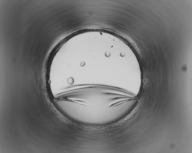 X0000116811122201001081349