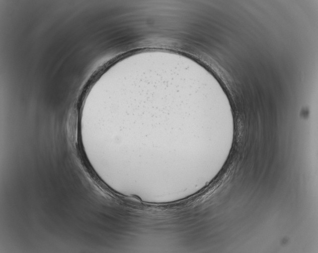 X0000116811123201001081350