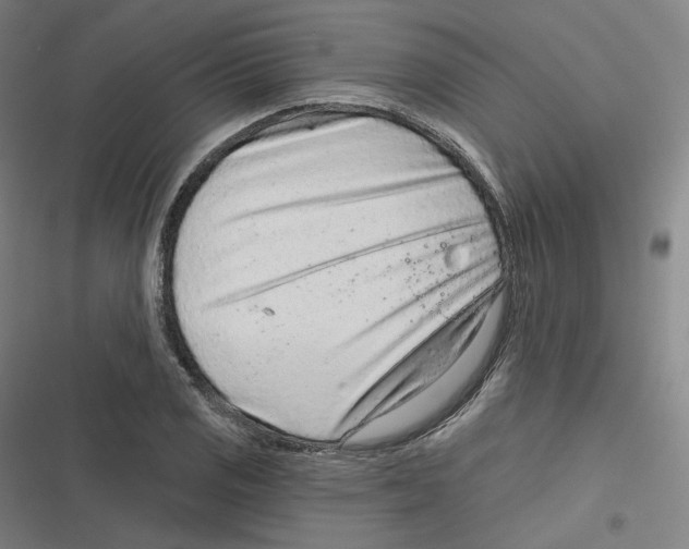 X0000116811125201001081350