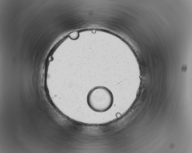 X0000116811126201001081350