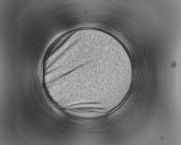 X0000116811127201001081350