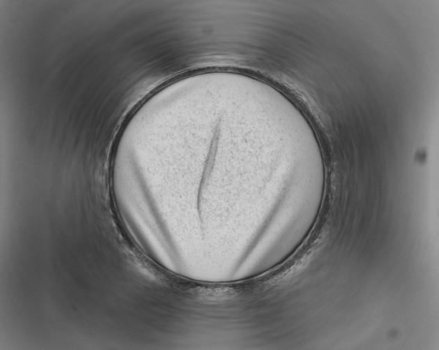 X0000116811129201001081350