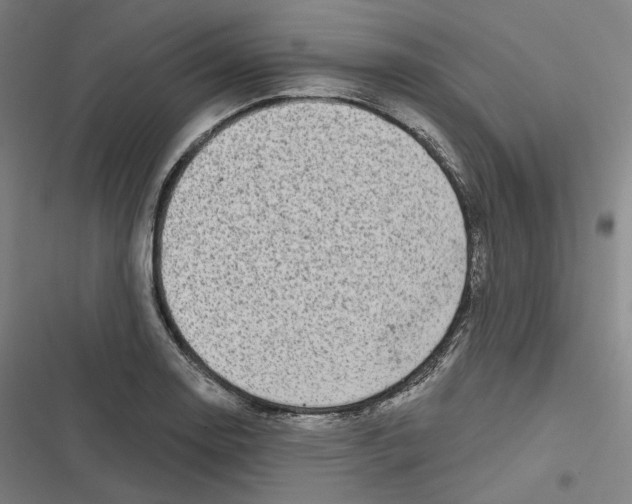 X0000116811130201001081350