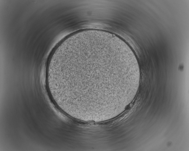 X0000116811131201001081350