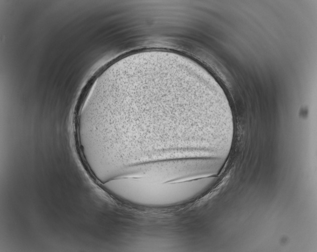 X0000116811133201001081350