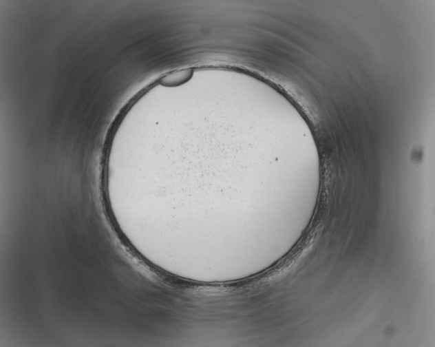 X0000116811134201001081350