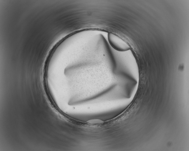 X0000116811135201001081350