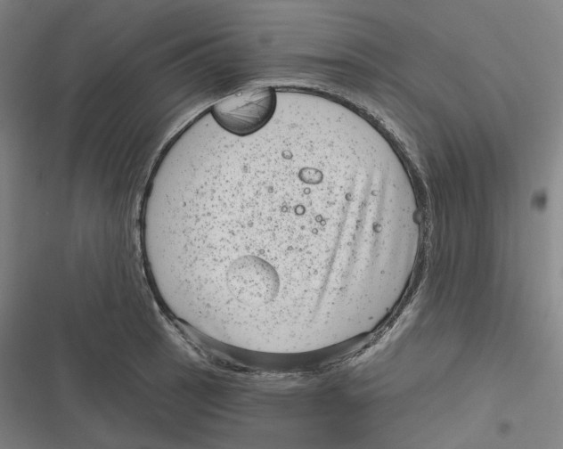 X0000116811137201001081350