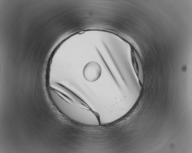 X0000116811138201001081350