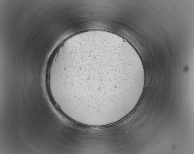 X0000116811139201001081350