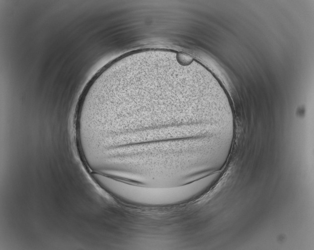 X0000116811141201001081350