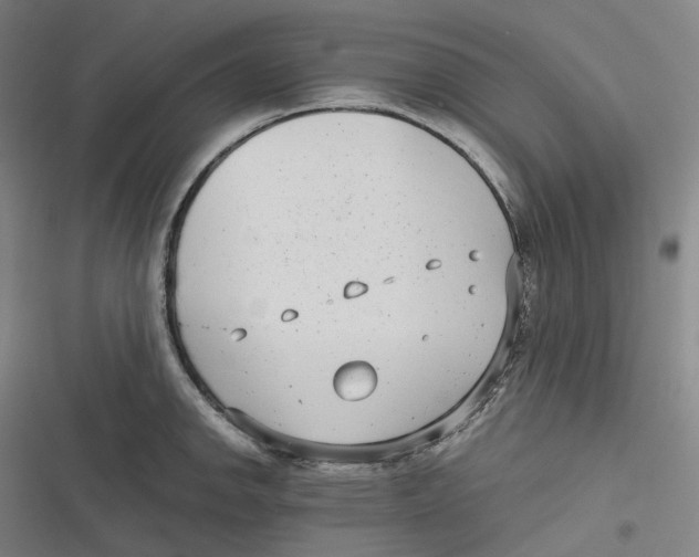 X0000116811142201001081350